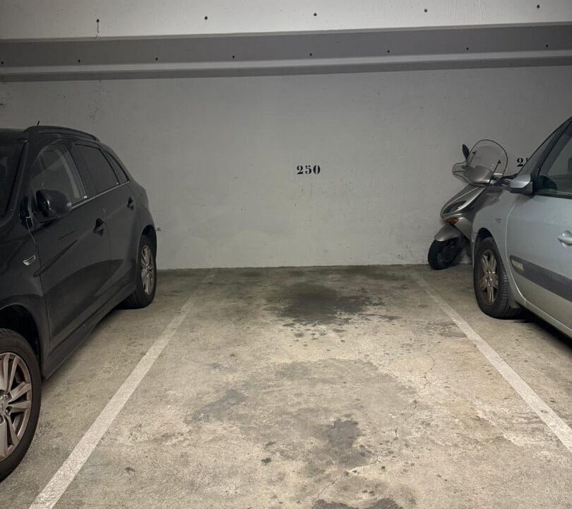 55954931c